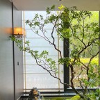 Thiết kế tiểu cảnh cây giả cho nhà ống